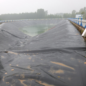 Artificial Lakes <strong>HDPE</strong> Pond Liner 2mm <strong>HDPE</strong> Geomembrane - Product Image 3