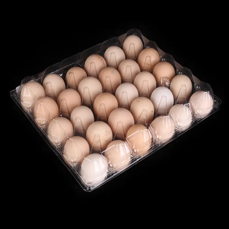 사용자 정의 투명 일회용 애완 동물 계란 트레이 플라스틱 물집 상자 계란 플라스틱 용기 4 6 8 9 10 12 15 구멍