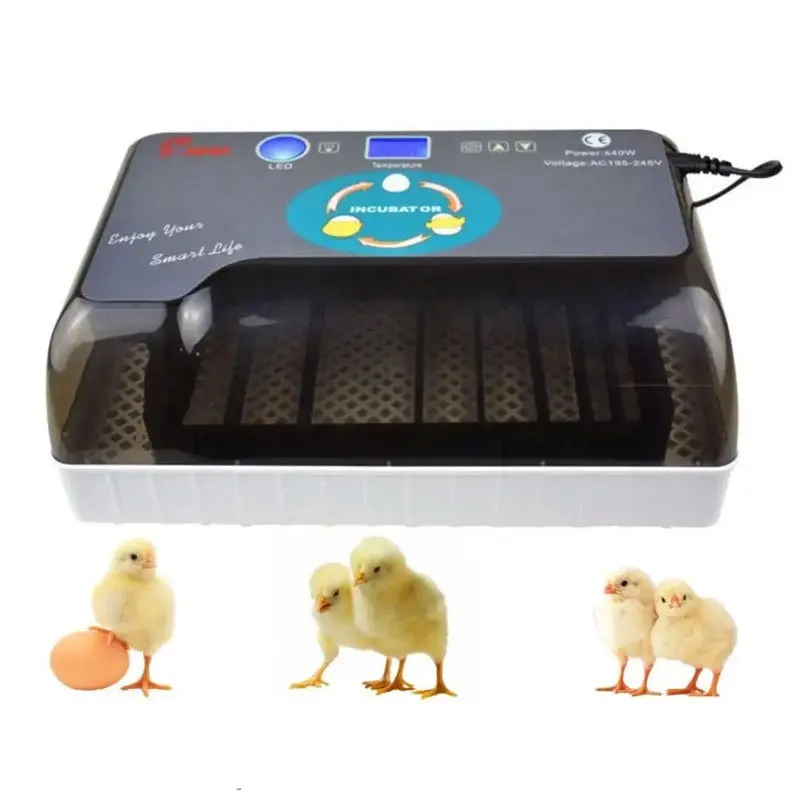 Cultivo automático de caracoles, pollo, pato, pájaro, huevo, loro, incubadoras, máquina de incubación, máquina de incubación con doble potencia