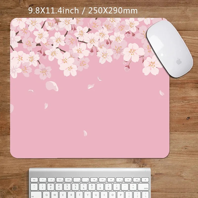 250X290X2MM