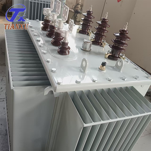 Tianxu 10000 Kvaパワー変圧器サウジアラビア用可変電圧出力208Vおよび入力6KV - Product Image 5