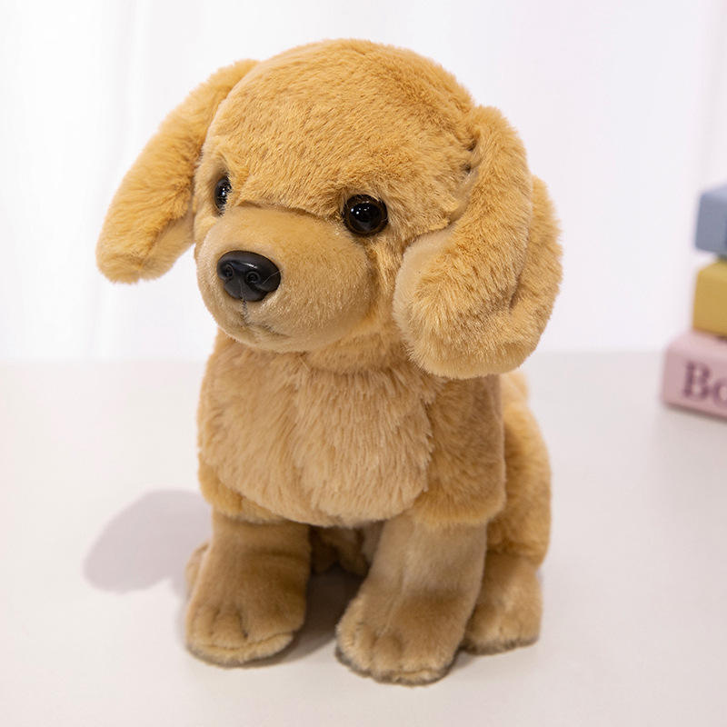 Golden retriever accroupi 22cm