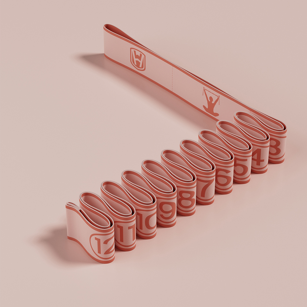 Rosa-12 bucles