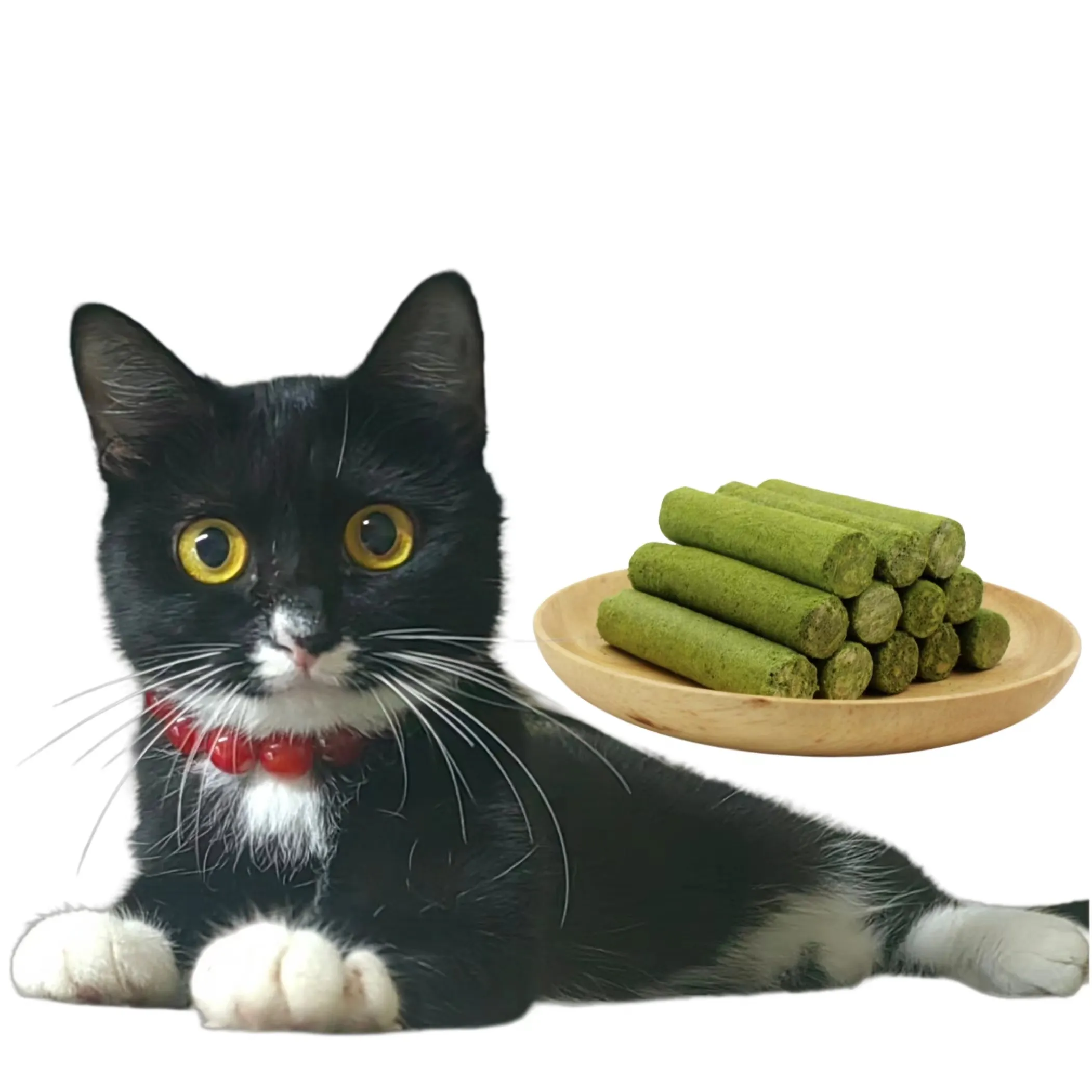 Nourriture pour animaux de compagnie séchée Frezze de marque privée haute nutrition aide à éliminer les boules de poils Friandises dentaires pour chats Snacks Foie de poulet Friandises sèches pour animaux de compagnie