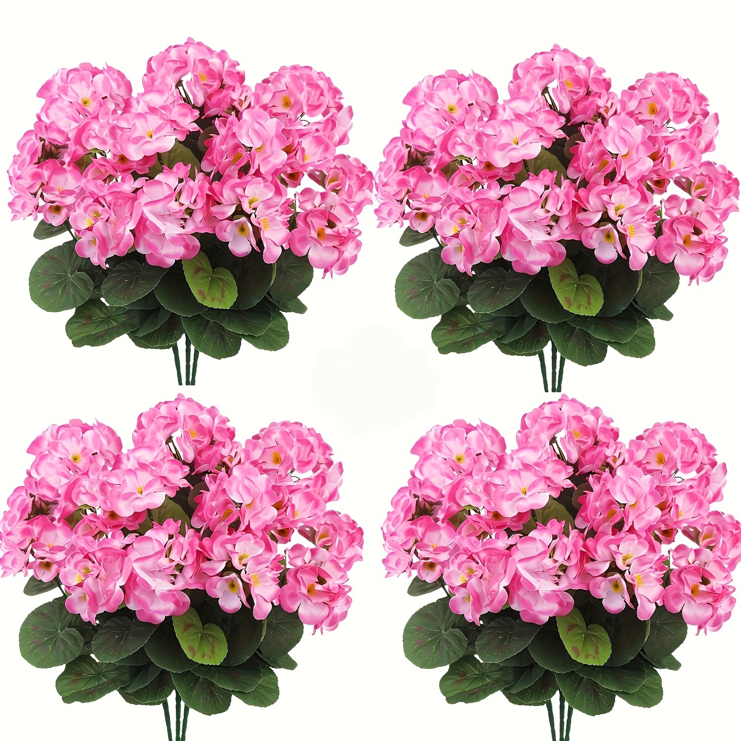 Rosa 50 pezzi