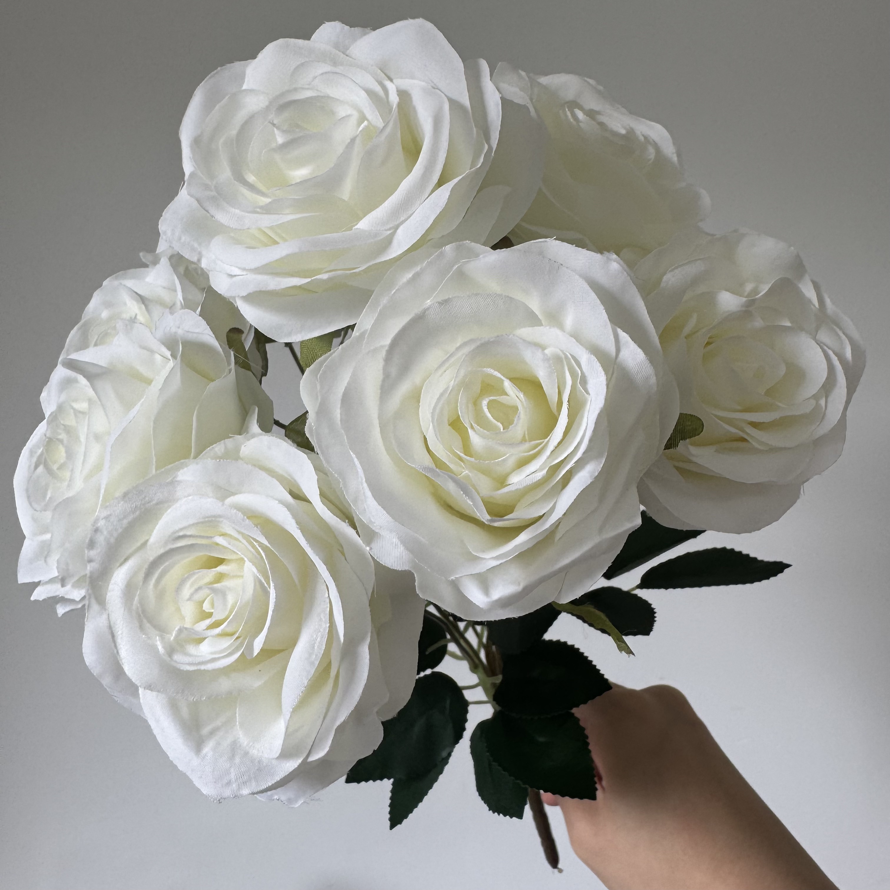 #1 bianco
