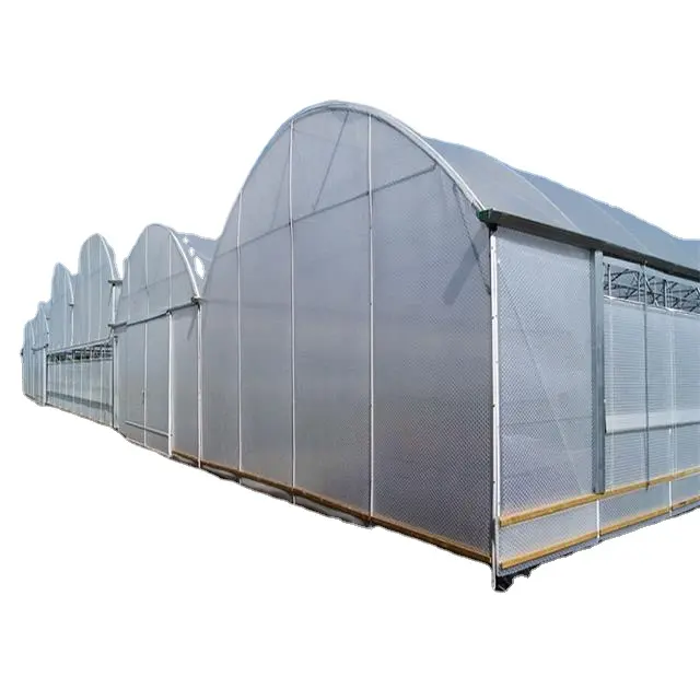 Guaranteed Quality Proper Price Multi Span Agricultural Greenhouses Hydroponic Greenhouse