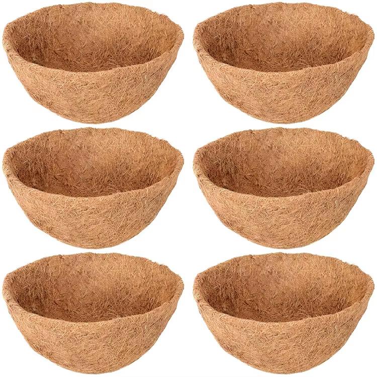 Coffee-Default-10-inch