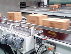 <strong>Automated</strong> Parcel/Cartons Sorting <strong>System</strong> - Product Image 5