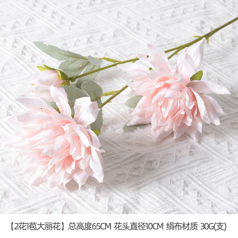 2 fleurs un bouton dahlia rose