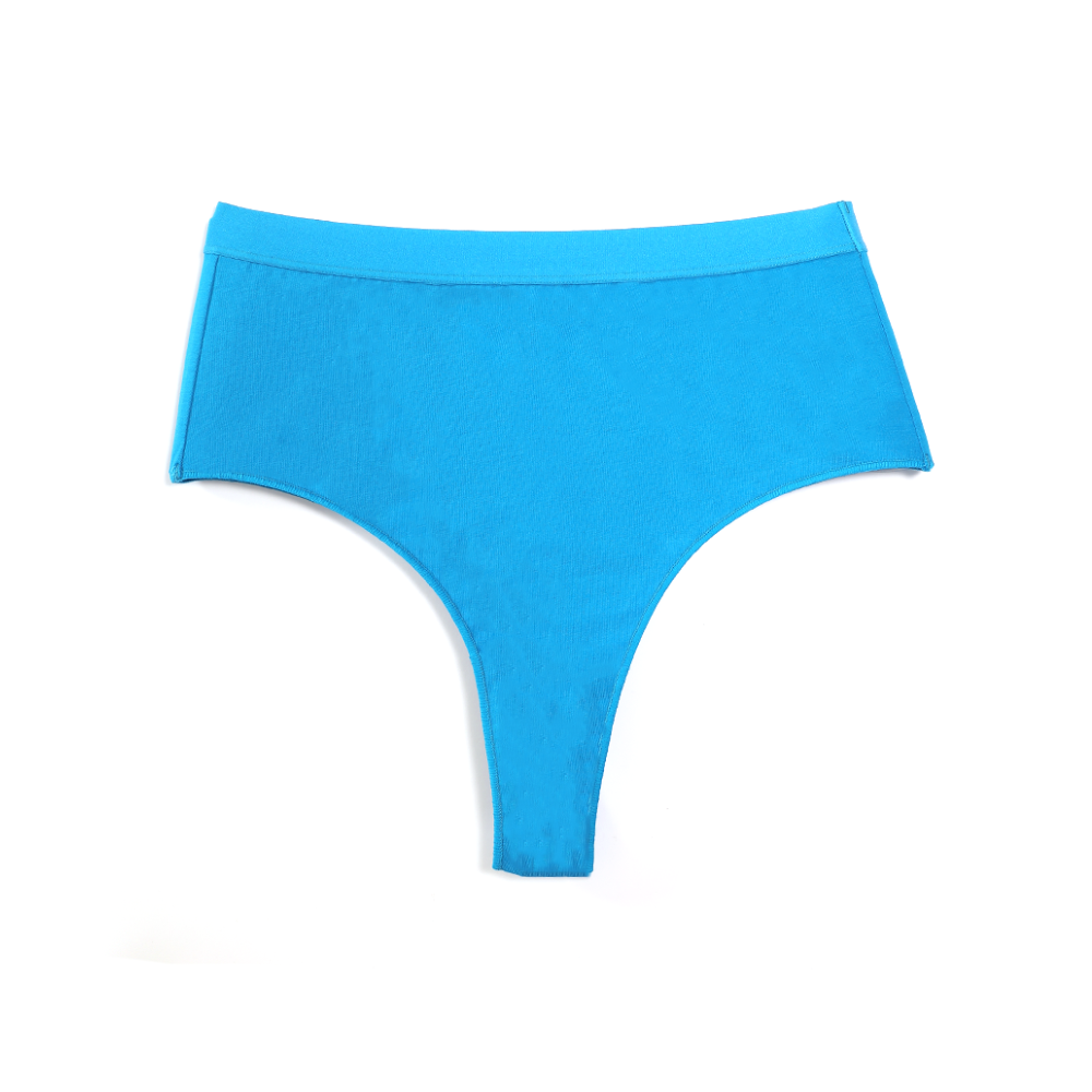 Aster bleu 12