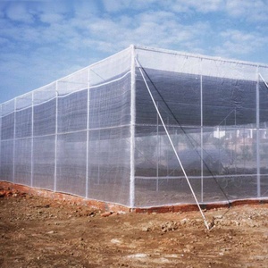 Malla antiinsectos HDPE para protección de verduras, red antiáfidos, 32, 55gsm, fabricación de fábrica - Product Image 4