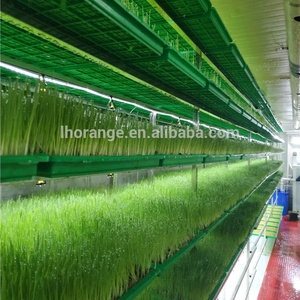 Automatische Landwirtschaft Tierfutter Hydro ponik Futter Verarbeitung vertikale landwirtschaft liche Systeme Pflanz system Maschinen - Product Image 4