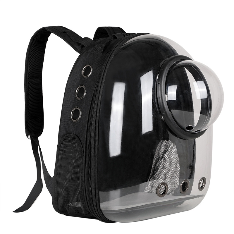 Black & Clear Bubble