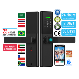 Te'an Finger abdruck Smart Digital Türschloss Kartens chl üssel Funktionen Elektrischer Griff Hebels chlösser WiFi App für Home Edelstahl türen - Product Image 1