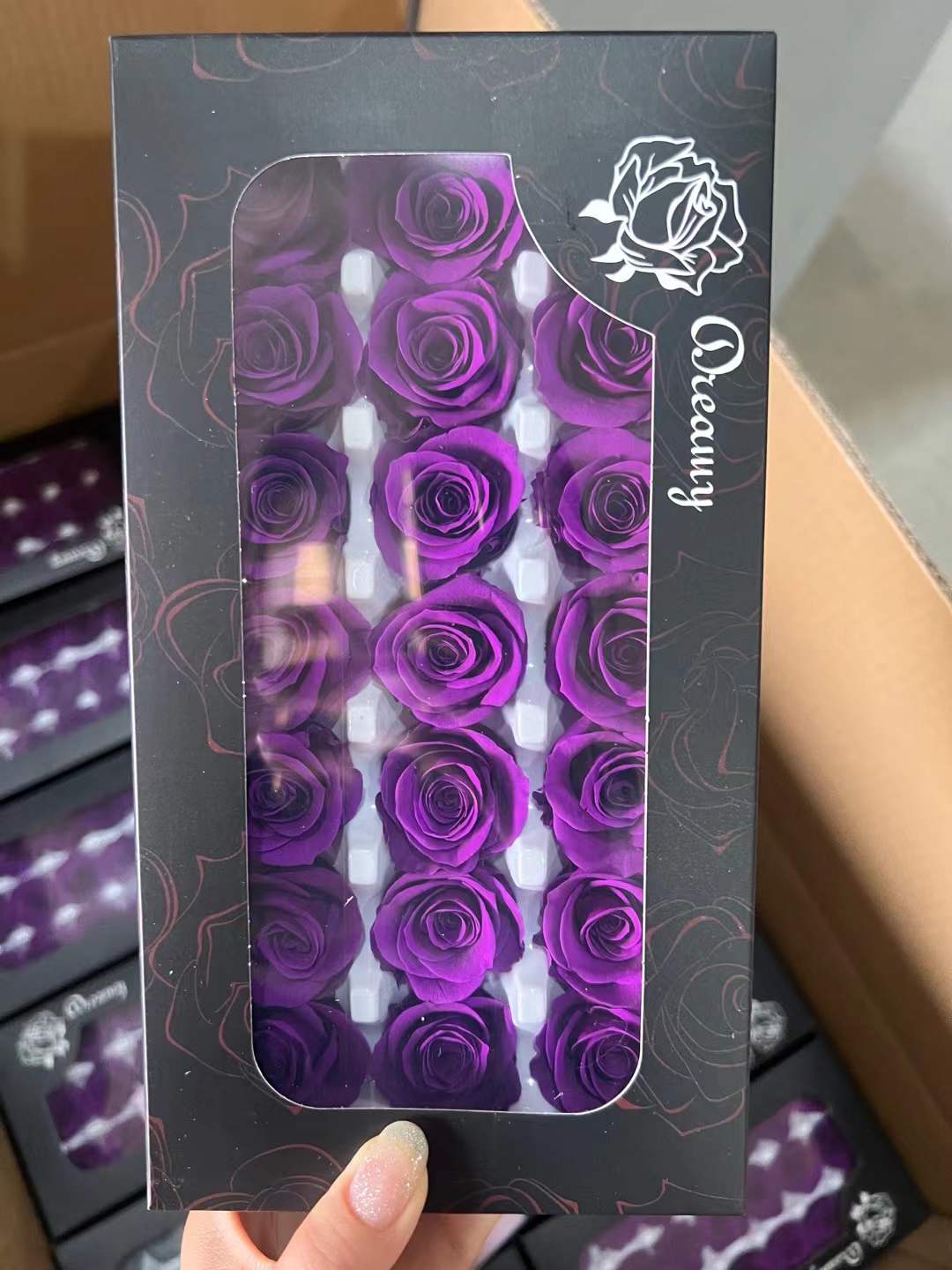 hermoso morado