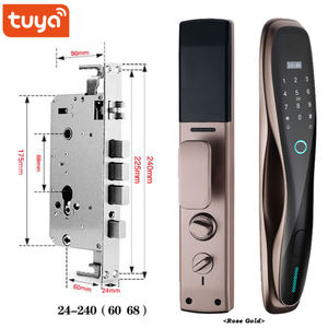 Yistar di alta qualità intelligente impronta digitale blocco porta WIFI telecomando principale serratura biometrica per il legno prezzo di fabbrica Tuya tecnologia