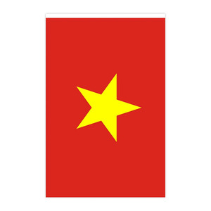 Wholesale Polyester <strong>Vietnam</strong> Small String Flag of Vietnamese Mini National Country World Pennant Banners for Decoration - Product Image 6