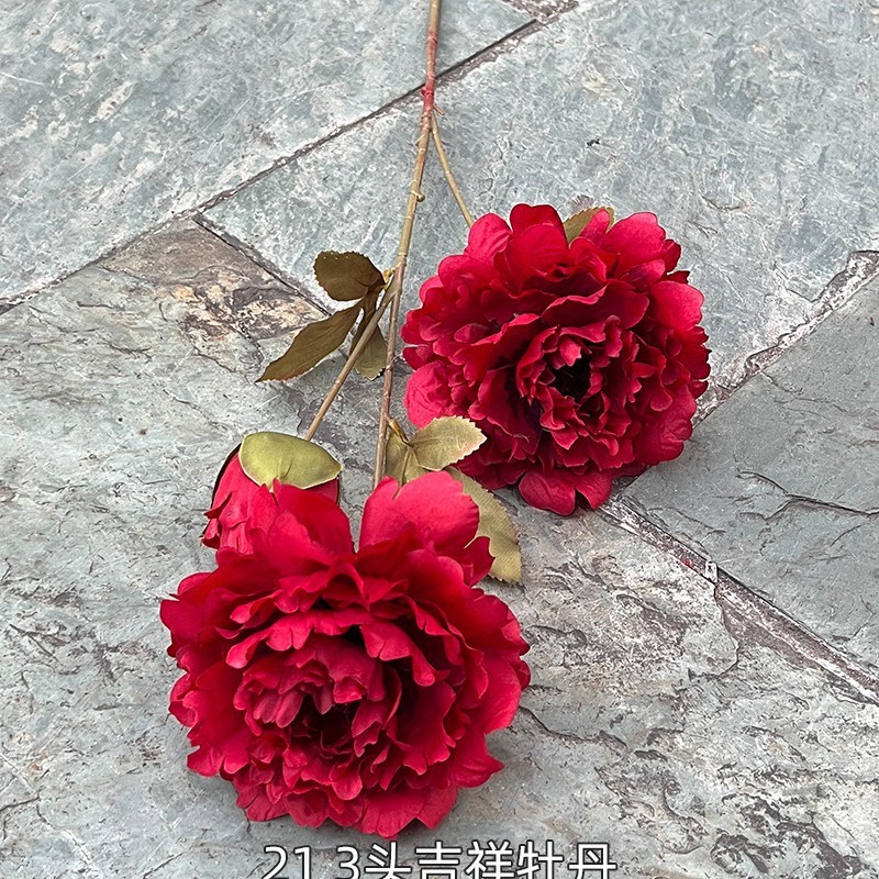 8# Rouge, 213 têtes rouge pivoine de bon augure
