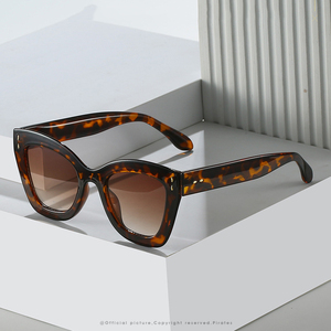 2025新作トレンディな猫アイフレームサングラスPCユニセックスUv400サングラスシェード女性男性カスタムロゴサングラスレトロ - Product Image 1