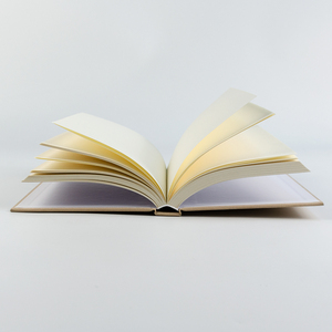 Tùy chỉnh chất lượng cao sang trọng A5 Linen bìa cứng cuộc họp kinh doanh Tạp Chí máy tính xách tay với Vàng cạnh dịch vụ in ấn - Product Image 3