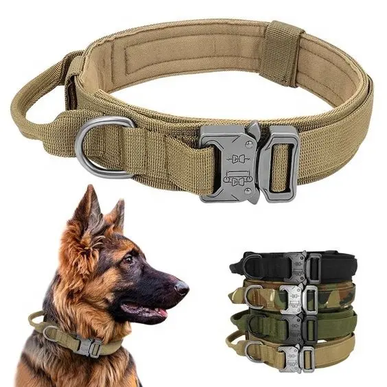 Collare per animali domestici con fibbia in metallo resistente di alta qualità per collare tattico personalizzato regolabile per cani di taglia media e grande con manico