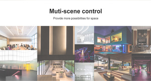 LTECH 2-in-1 PWM Typ RF 2,4 GHz Wireless Tunable White Touch Panel 4A 1-Kanal 96W 12-24V LED Dimmer Controller - Product Image 5