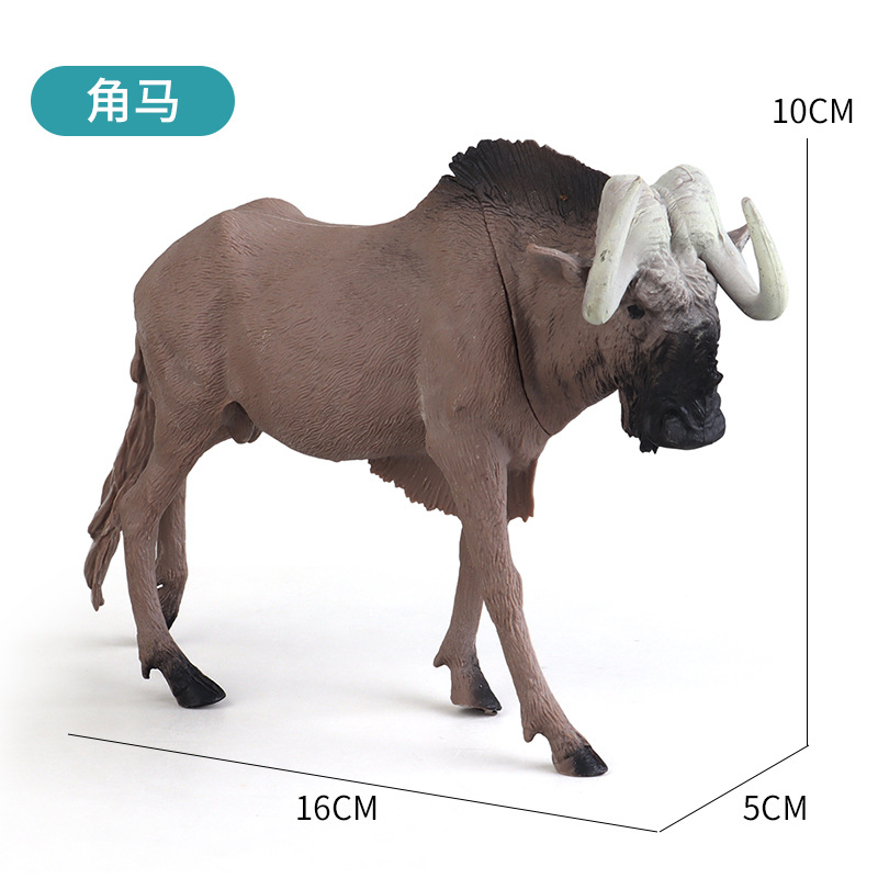 Hippopotame