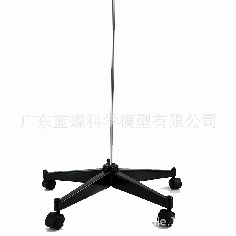 Support de base squelette 170 cm
