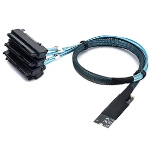 M. 2 Mkey(2242 M.2 Size) to 4-port <strong>SAS</strong> SFF-8482 2-in-1 Server High-Speed Conversion Cable - Product Image 1