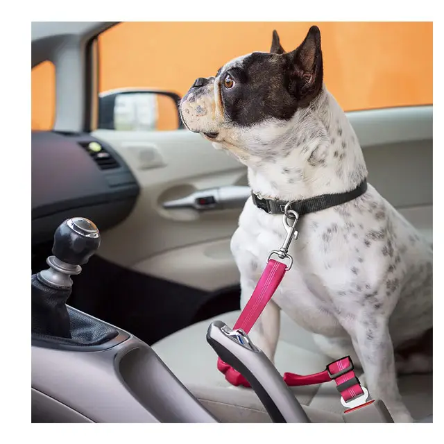 Pet Dog Cat Seat Belts Car Headrest Restraint Comprimento ajustável Segurança Leva Veículo Cinto de Segurança Arnês Elastic Bungee Buffer