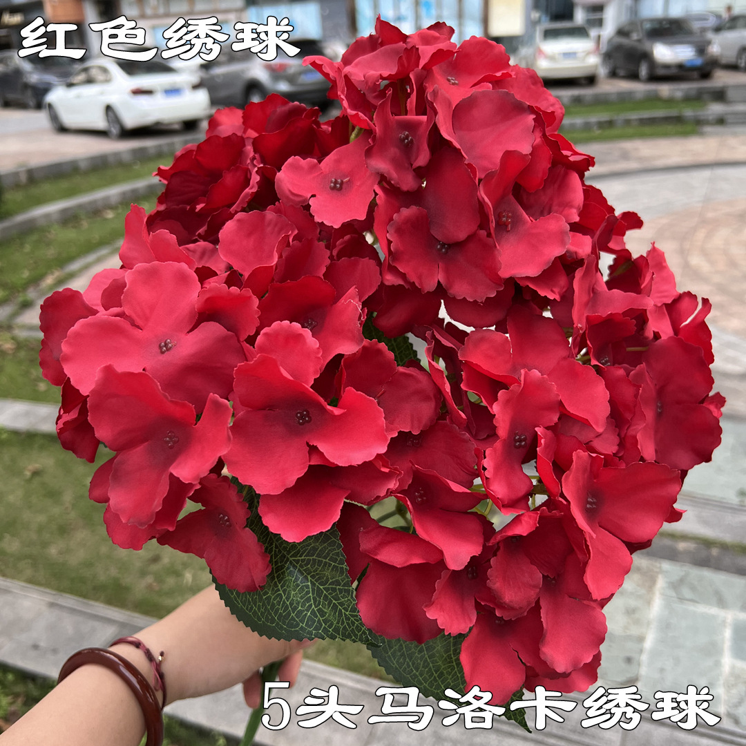 5 red malaga hydrangeas