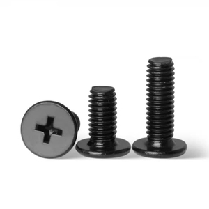 M2 M3 M4 M5M6十字穴付きCM薄肉大型平頭小ねじ - Product Image 6