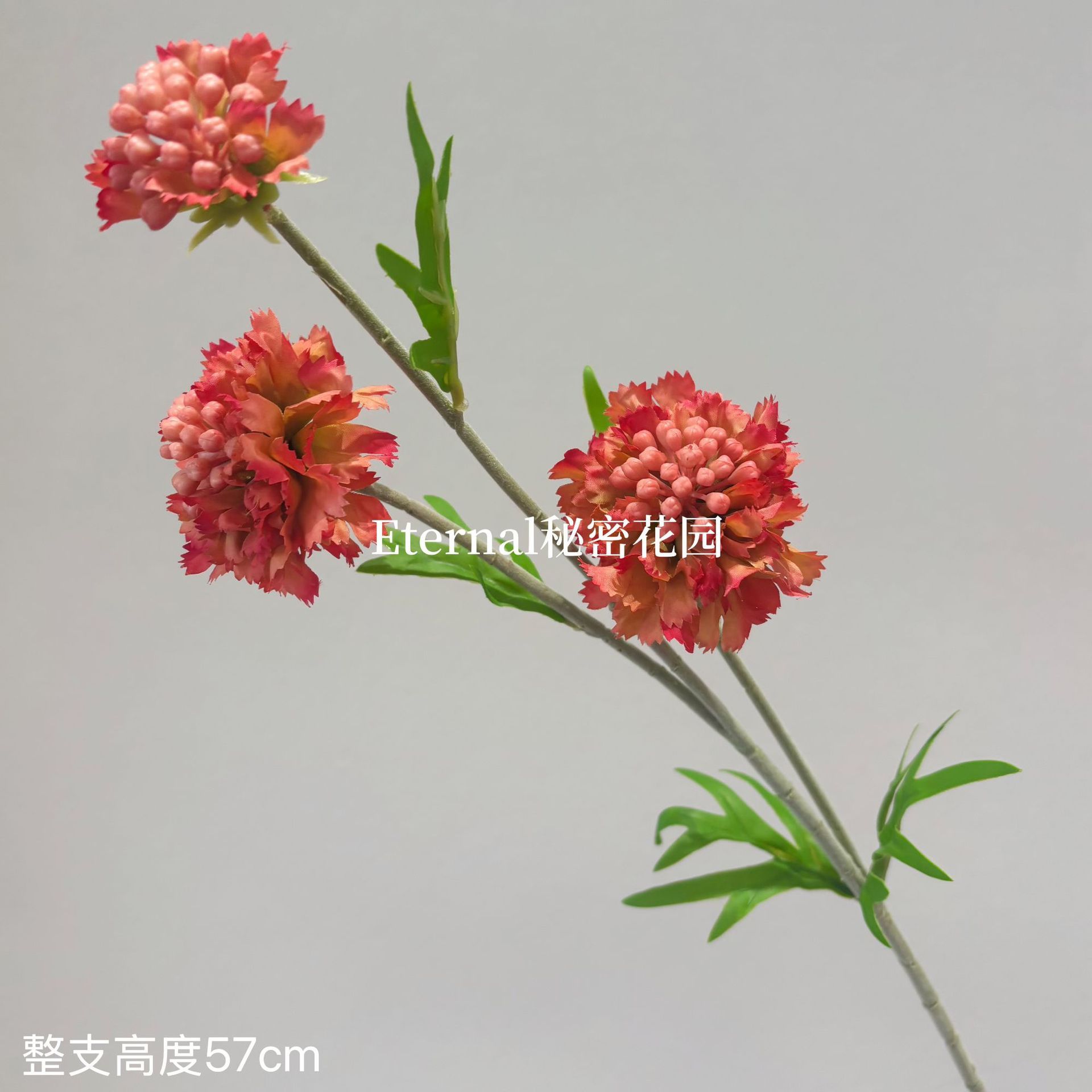 Cordyceps Sinensis de pin Orange-Rouge