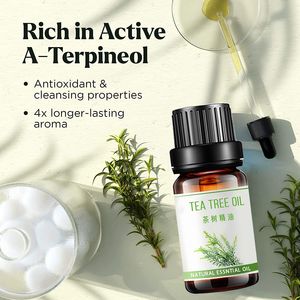 Avustralya çay ağacı uçucu yağ/çay ağacı yağı akne/organik çay ağacı yağı - Product Image 3