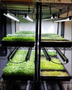 菊花链t5 lowes荧光生长灯挂在灯罩爬行动物灯架完成生长灯反射器帐篷 - Product Image 5