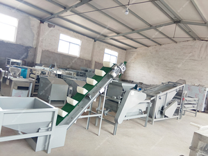 400 kg/h Noz Amêndoa Sheller Huller Avelã Pistache Apricot Pit Cracking Máquina De descascar Neem Fruit Breaking Separator Line