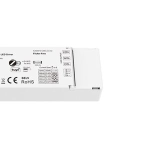 PB-12A-2(WZS) 100 ~ 240VAC 2CH tuya Dimmer Zigbee постоянный ток светодиодный драйвер - Product Image 3