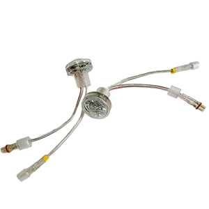 <strong>Automatic</strong> <strong>Program</strong> 30mm 9leds Pixel Piont Light Ferris Wheel Amusement Park Lighting - Product Image 5