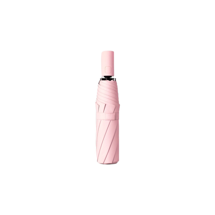 Rose (version automatique)