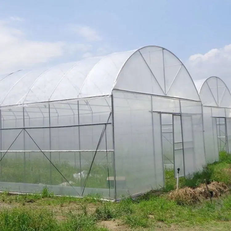 Skyplant multi-de película de plástico Multi-de PO película de efecto invernadero de marco de acero para verduras