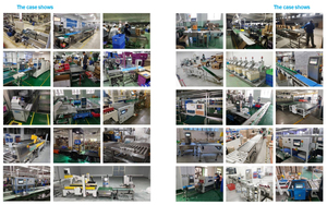 Mini thép không gỉ checkweigher phân loại quy mô với màn hình LCD hiển thị OEM tùy chỉnh chính xác đến 0.01g cho lên đến 1000g - Product Image 6