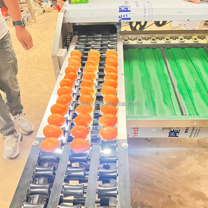 High Efficiency <strong>Automated</strong> Chicken Egg Grading and <strong>Sorting</strong> <strong>Machine</strong> With Cleaning and Grading for 15000 Eggs Per Hour - Product Image 3