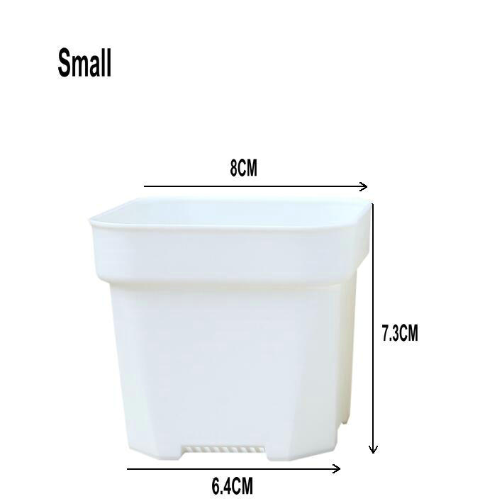 White 8.0CM