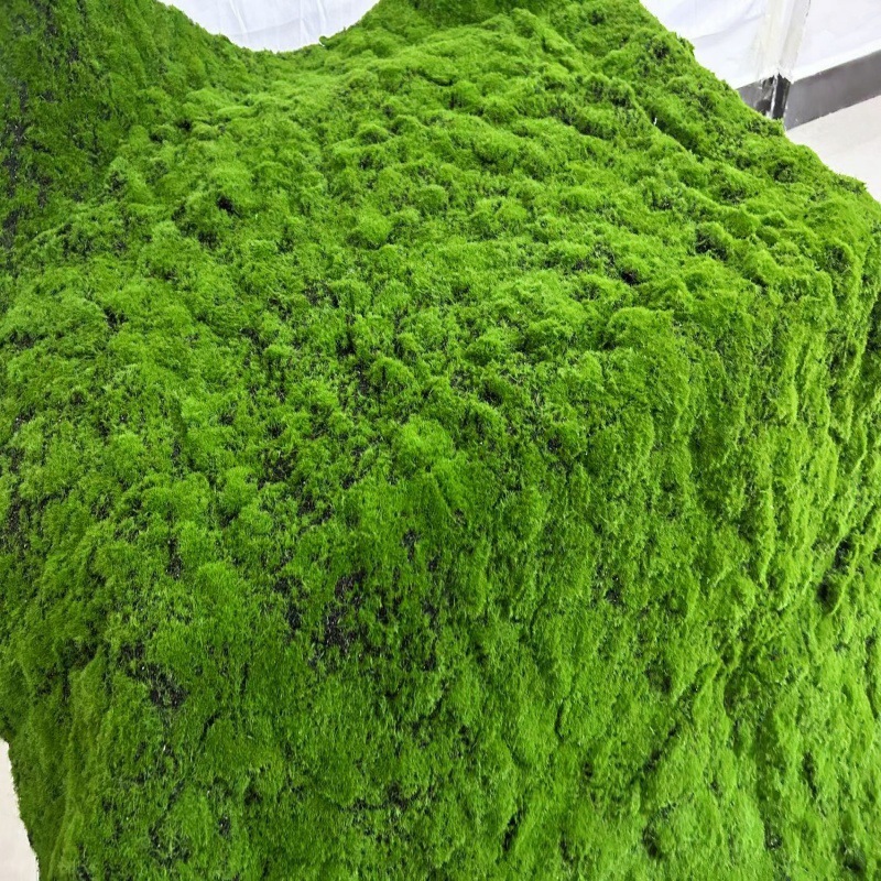 Vert-018