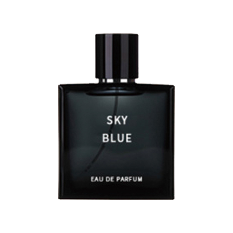 Q version-015-blue