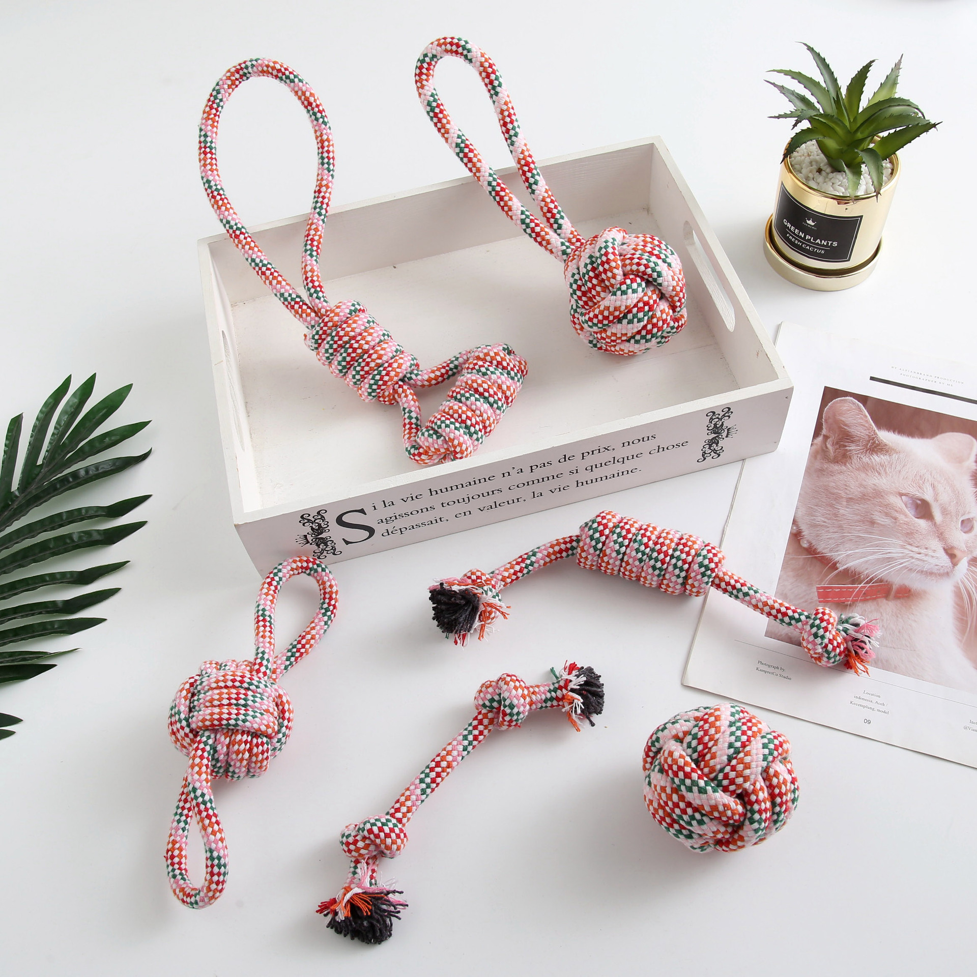 6แพ็คสีแดง