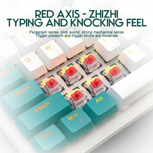 K3 100 teclas RGB Gaming Teclado mecánico para Gamer Hot-swap NKRO Type-C Wired Gaming Teclados personalizados Keycap - Product Image 6
