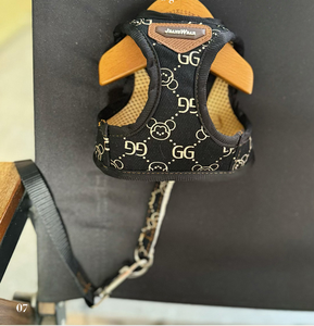 Penjualan laris rompi hewan peliharaan bentuk kartun berjalan modis Set <span class=keywords><strong>Harness</strong></span> anjing nyaman latihan luar ruangan - Product Image 6