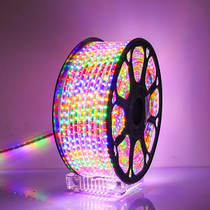 Fabrika HighQuality 100 metre 110v 220v açık çok renkli yuvarlak hortum dekoratif Neon Flex RGB IP67 su geçirmez Led halat işıklar - Product Image 4